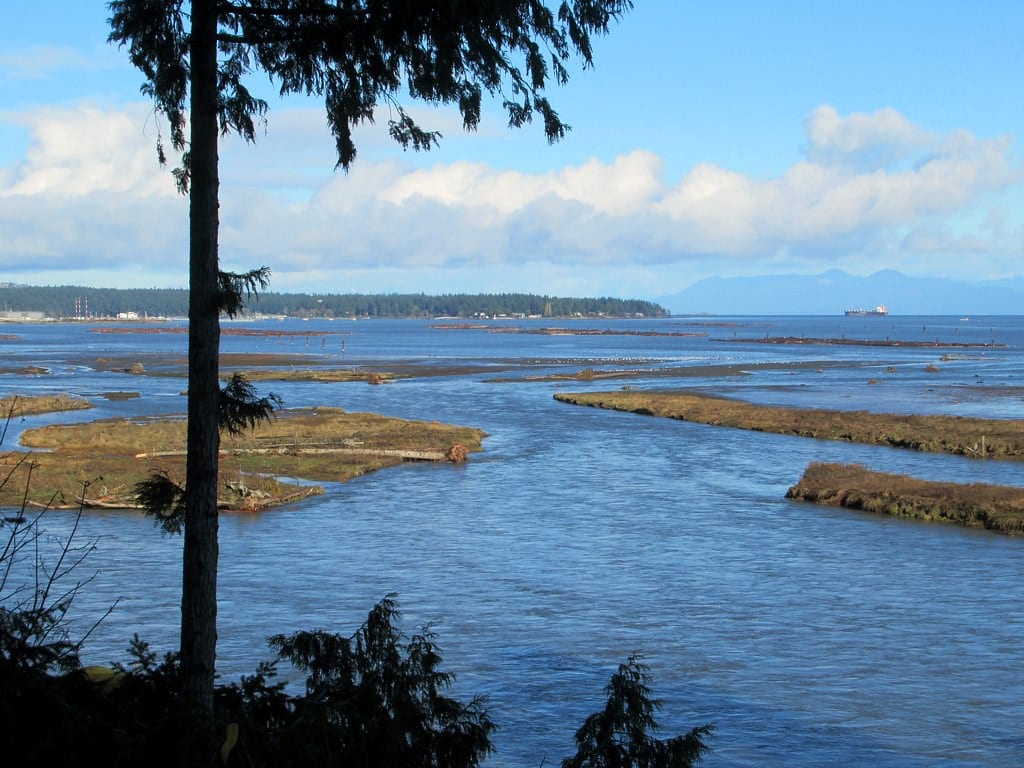 The mouth of the Nanaimo River near Cedar, seen through the trees