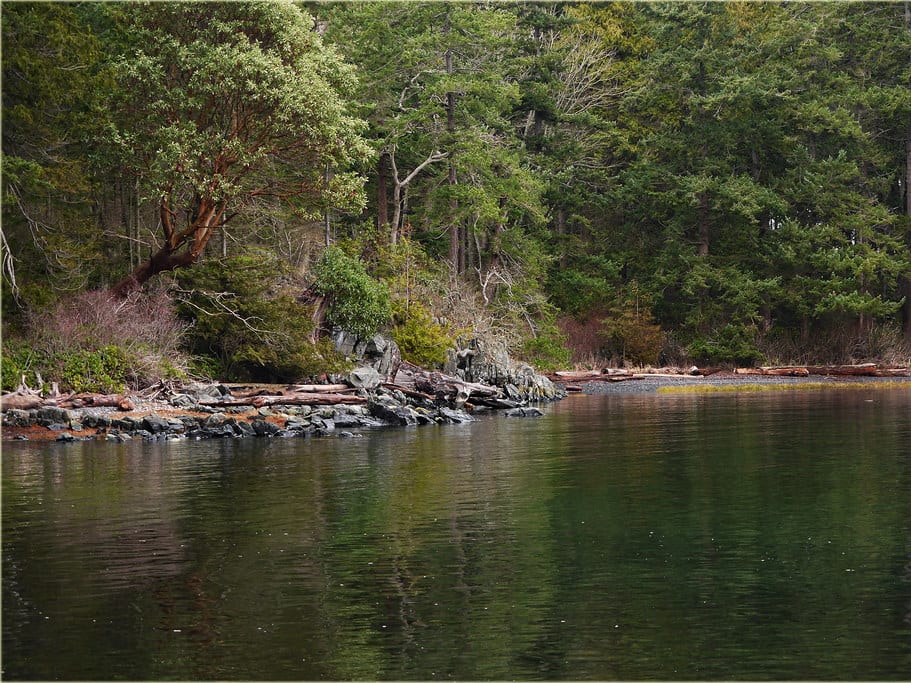 Calm water along the rocky, tree-lined shore of Nanoose Bay