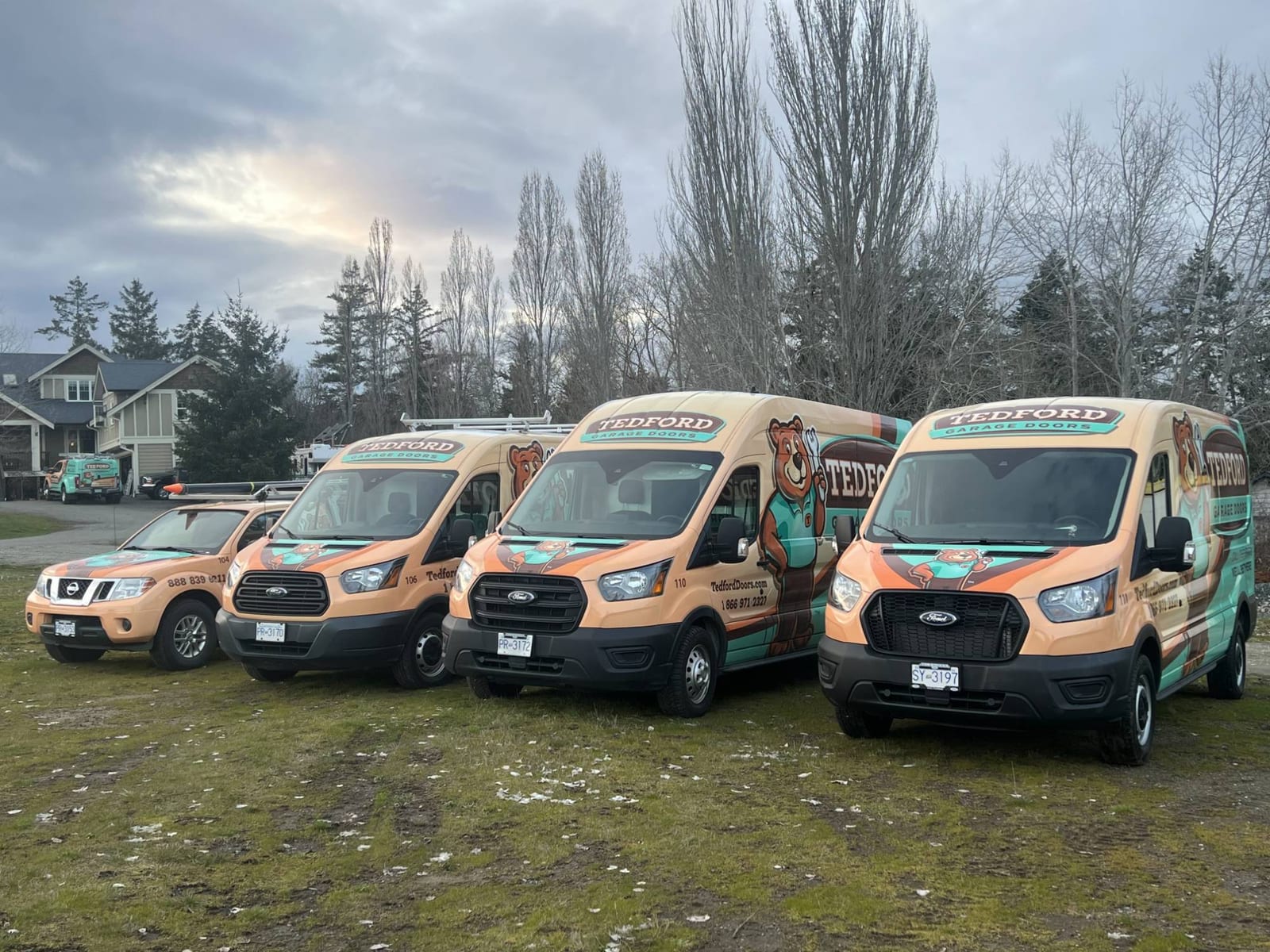 Three Tedford Garage Doors service vans and a pickup truck in the teal, orange and brown bear livery, parked in a row